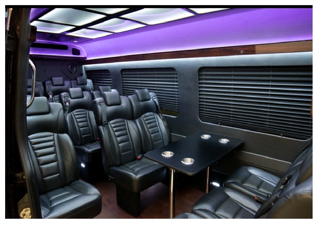 Sprinter VIP Coach, Oak Brook Limousine Services