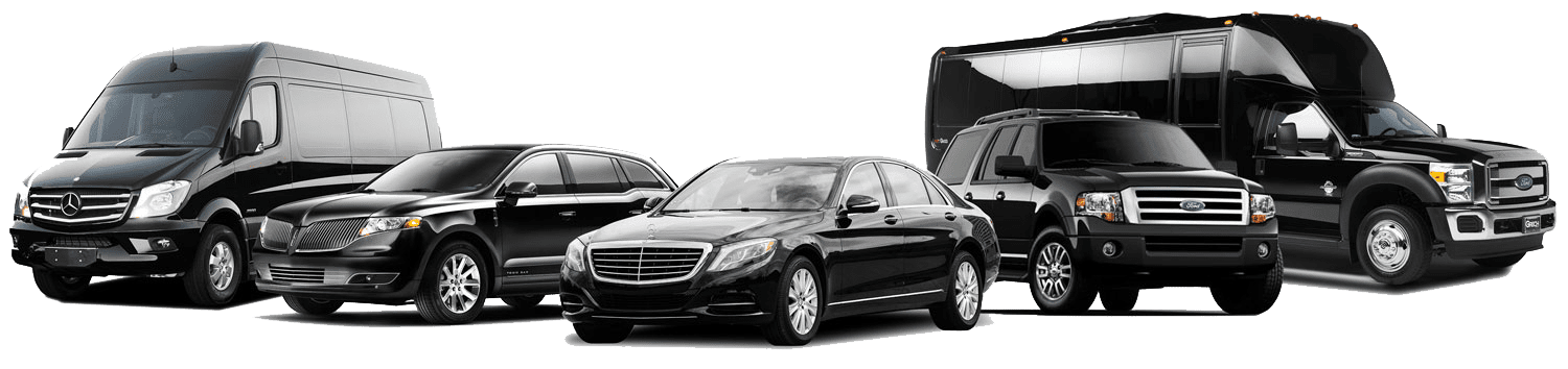 Near South Side Limousine Services Chicago, All American Limo, Fleet, Limo Service, Limousine Rental. Limo Service Chicago, Limo Chicago, Private Car Service Chicago, Best Executive Car Rental,Car Service to O'Hare Airport